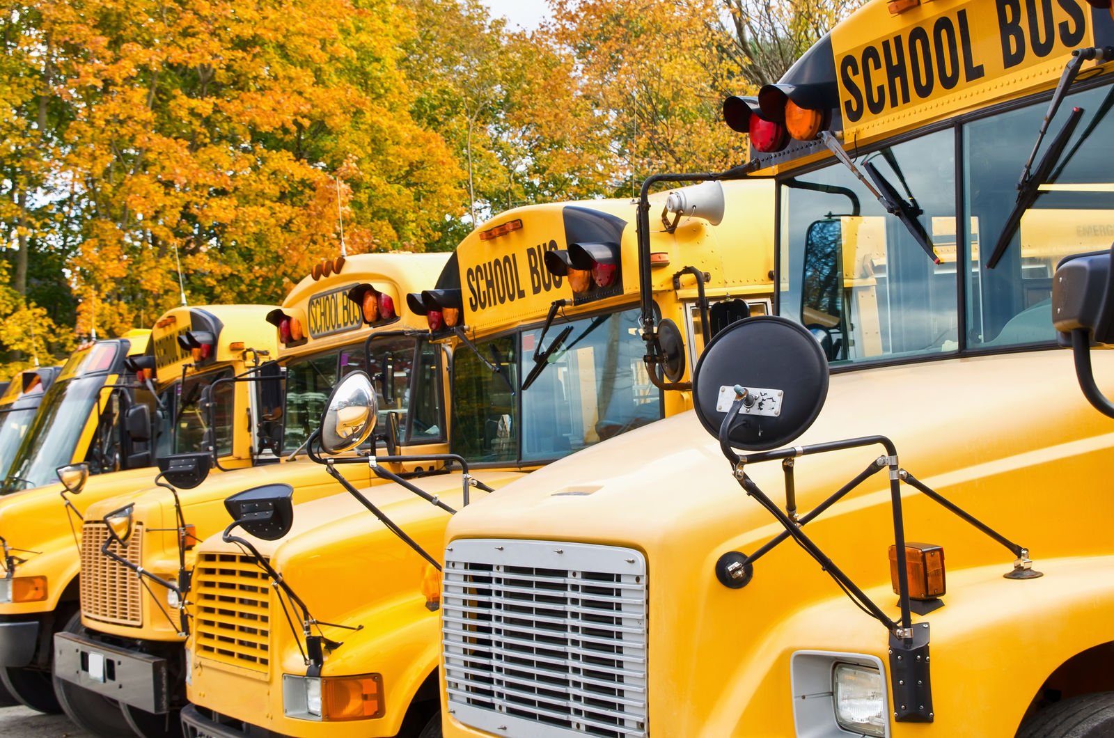 Compare School Bus Insurance Rates [2024]