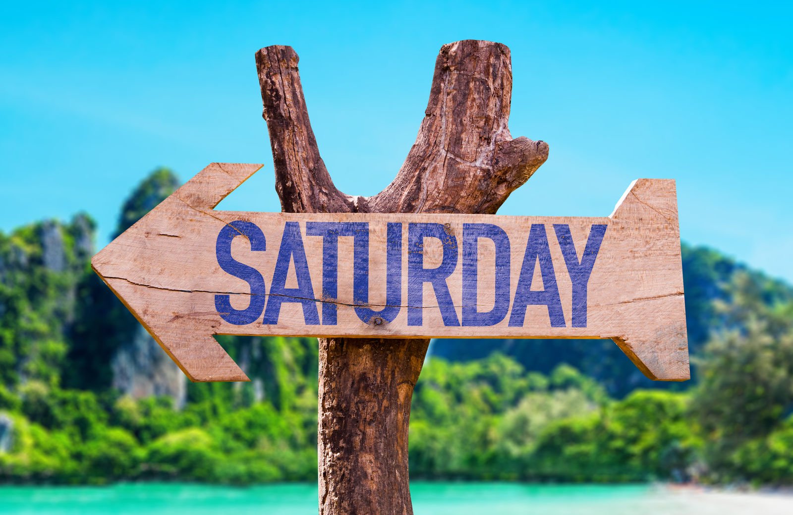 Are car insurance companies open on Saturdays?