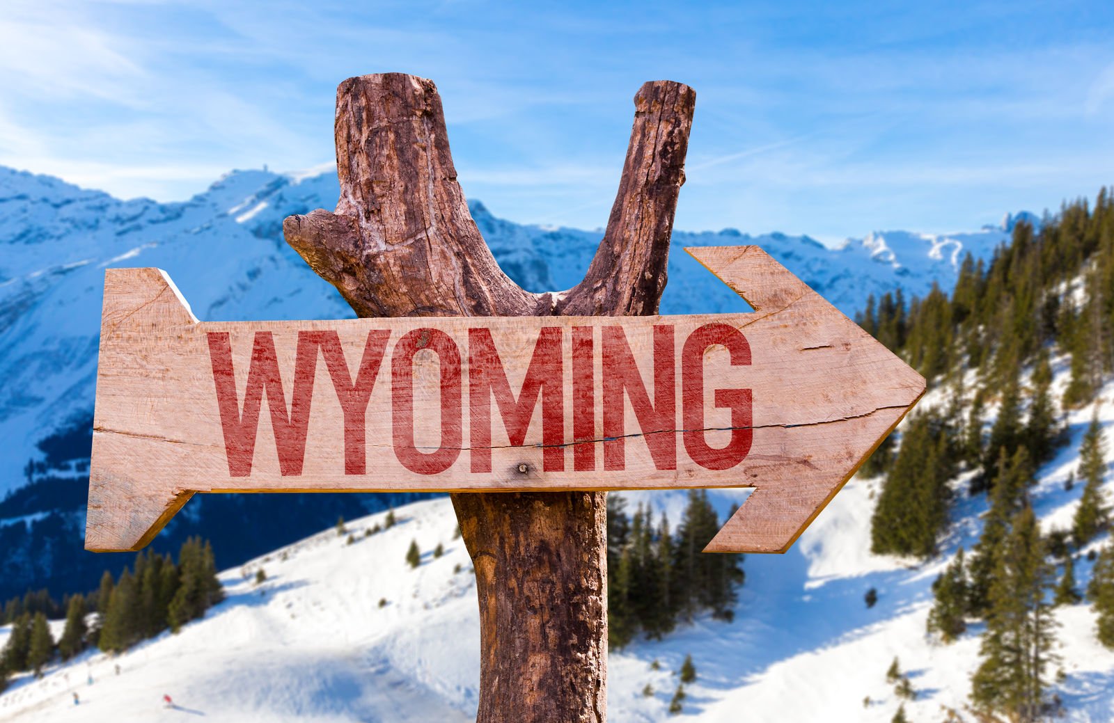 Compare Wyoming Car Insurance Rates [2023]