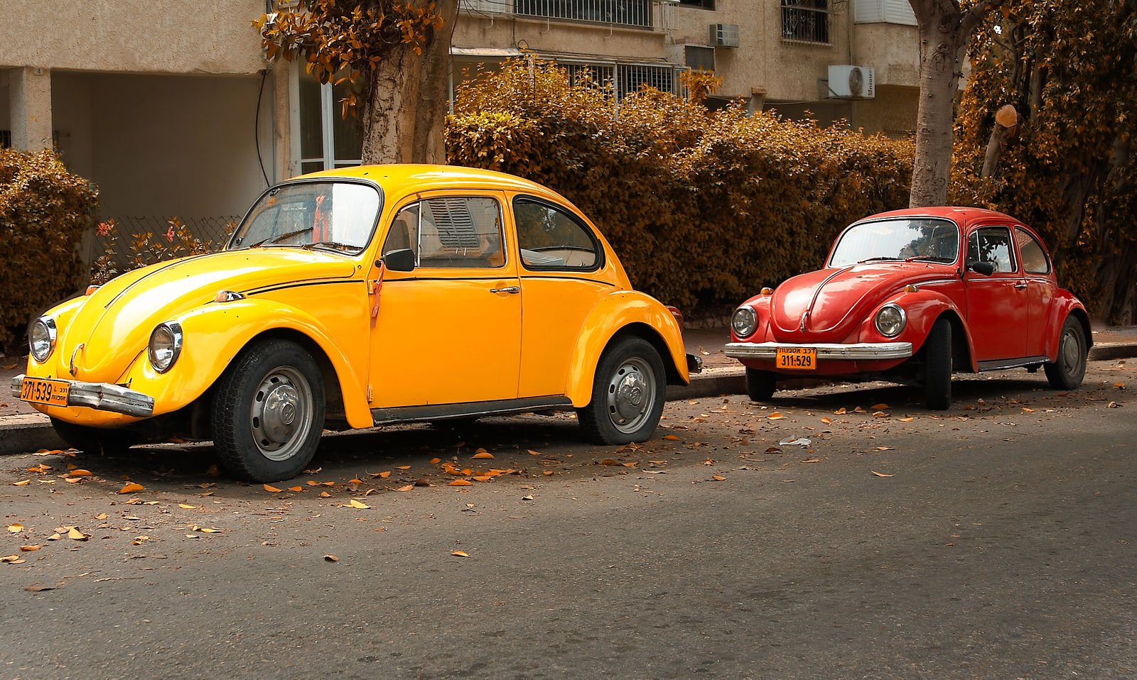 How Much are Volkswagen Beetle Insurance Rates?