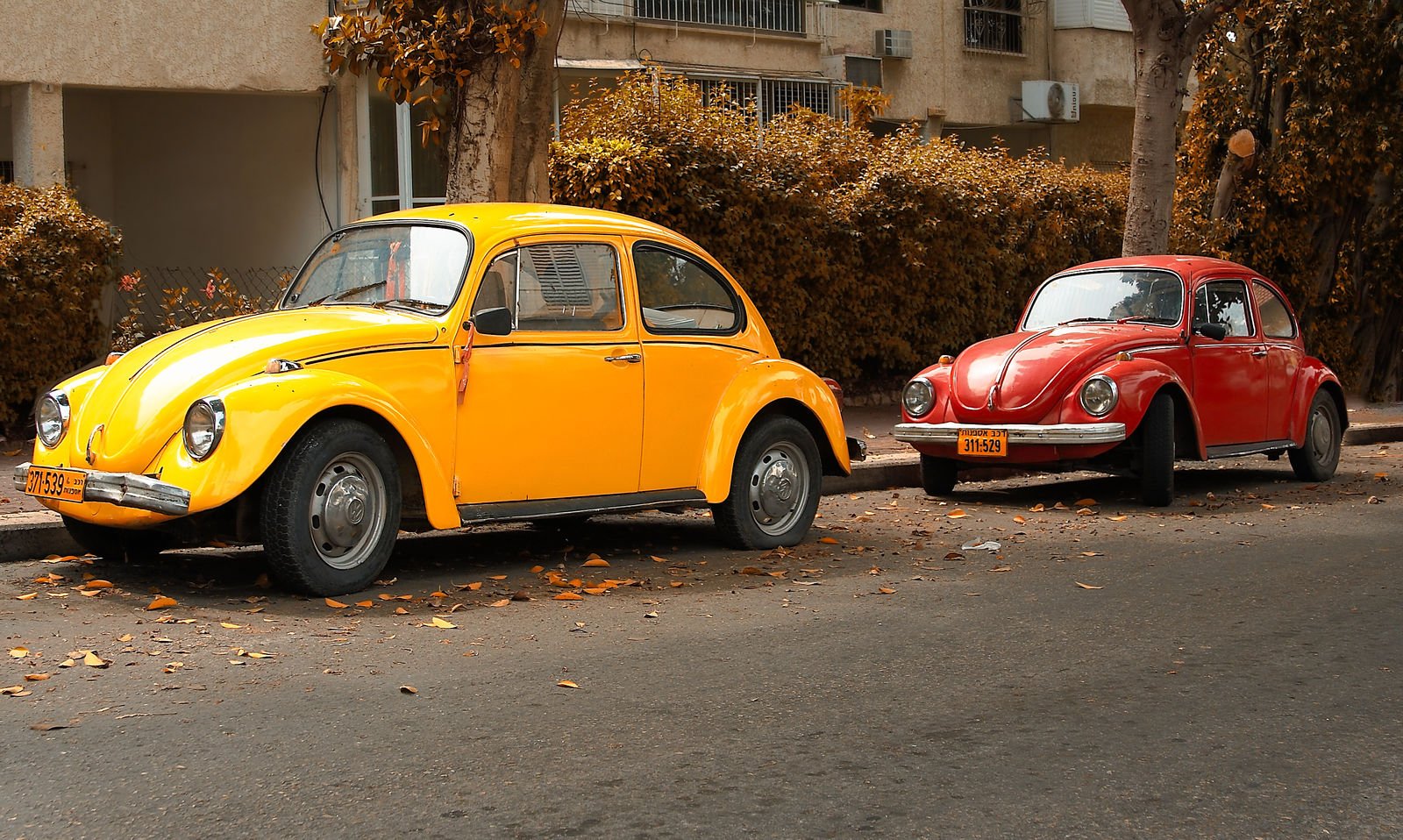 Compare Volkswagen Beetle Car Insurance Rates [2023]