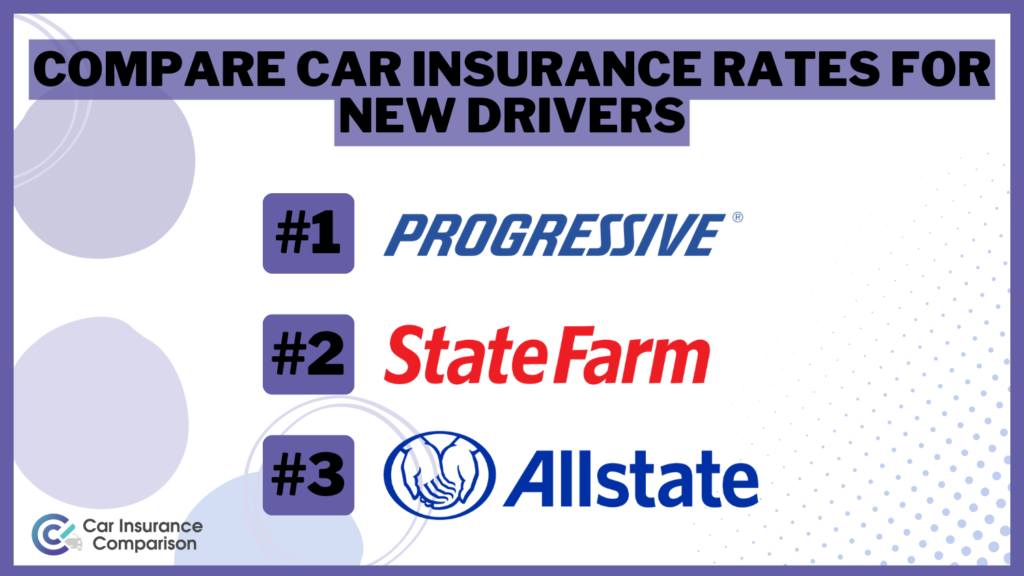 Compare Car Insurance Rates for New Drivers in 2024 (Top 10 Companies)