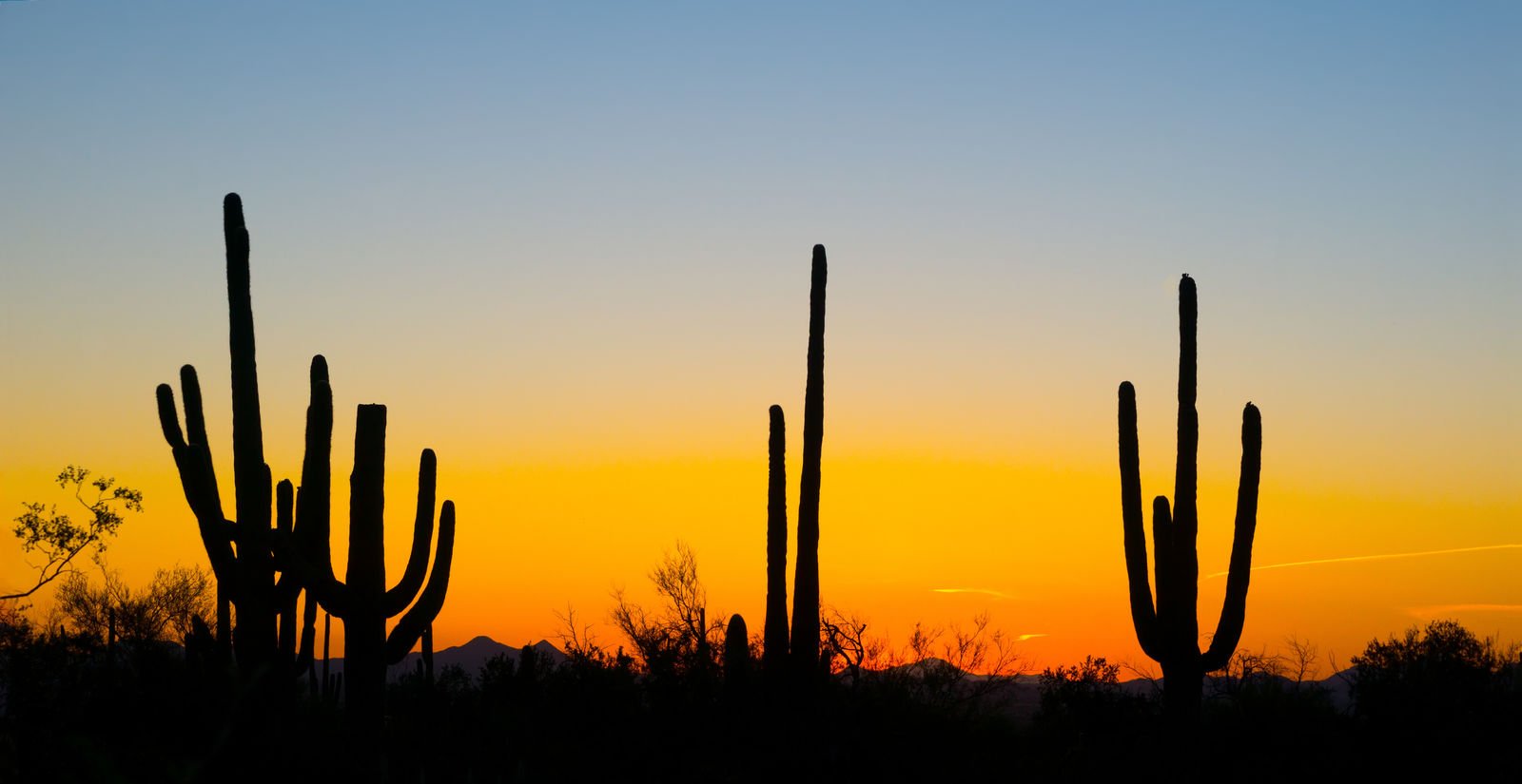 Compare Phoenix, AZ Car Insurance Rates [2023]