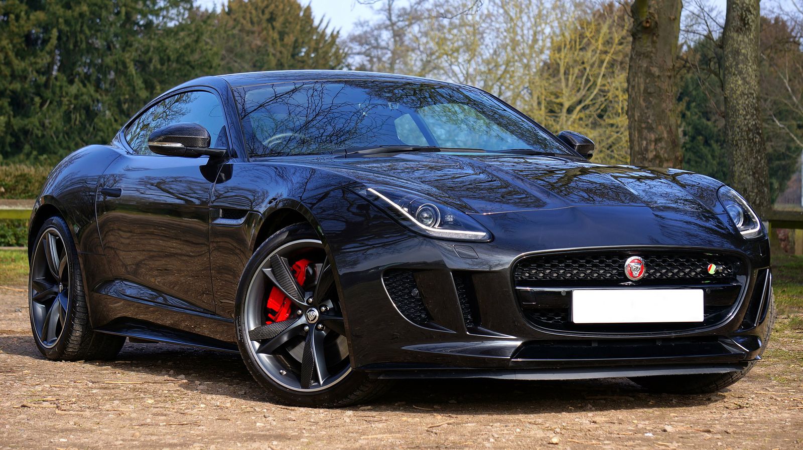 Compare Jaguar Car Insurance Rates [2024]