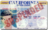 car insurance companies that accept a suspended license